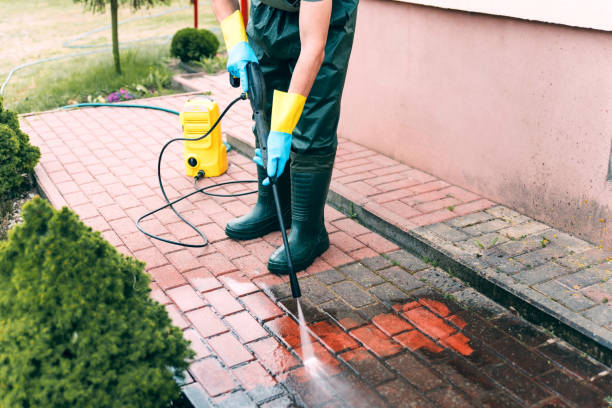 Best Solar Panel Cleaning  in Clio, MI